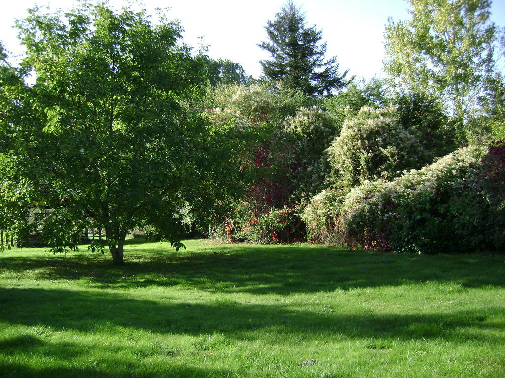 Les Chandelles Bed & Breakfast Villiers-le-Morhier Zewnętrze zdjęcie